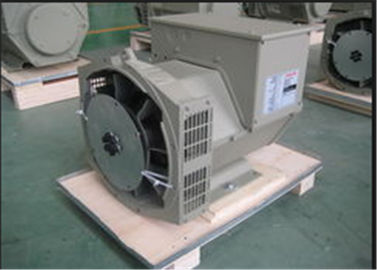 購入 3 段階の交流発電機、2 に耐える 91kw 114kva の倍は真空受胎の浸を時間を計ります online manufacture