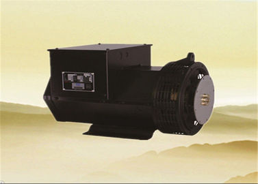 購入 二重軸受け三相交流発電機 25kw 31.3kva 12/6 ワイヤー online manufacture