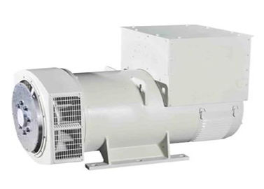 購入 電動起動システム 工業用エアコン発電機 1000kg online manufacture