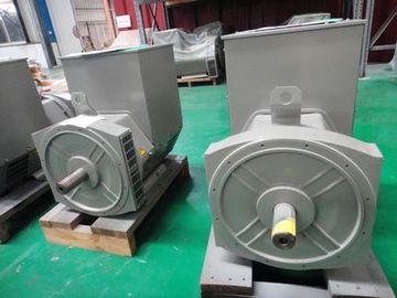 購入 二重軸受け単一フェーズの交流発電機 online manufacture