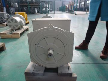 購入 110V | 690V 同期ブラシレス二重軸受け交流発電機 40kw/50kva online manufacture
