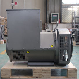 購入 携帯用20kw 50hzの住宅のディーゼルAC発電機110 - 240V SX460 AVR online manufacture