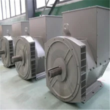 Hクラス 10-1000 KW 3相ブラシのないAC発電機プレミアム