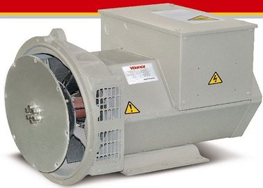 12.5kva 単一フェーズ Cummins の発電機セットのためのブラシレス AC 発電機/交流発電機