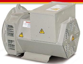 AVR SX460 の発電機セットのための 16kw/20kva 三相ブラシレス交流発電機